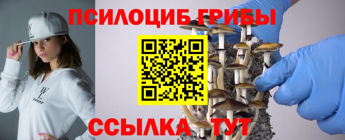 Псилоцибиновые грибы мухоморы  Галлюциногенные грибы Psilocybe  Волгодонск  Вход с VPN 