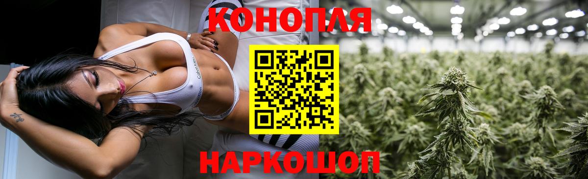 Конопля план  МАРИХУАНА гибрид  Волгодонск  Бошки Шишки ГИДРОПОН  Вход с VPN 